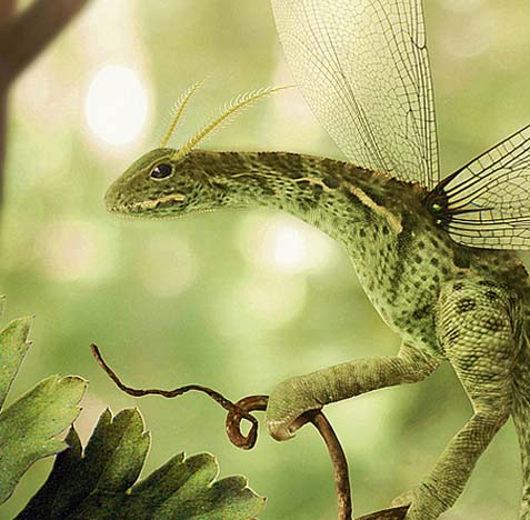 在线呼叫网页版