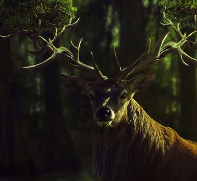 批发渠道价格的在线短信测压